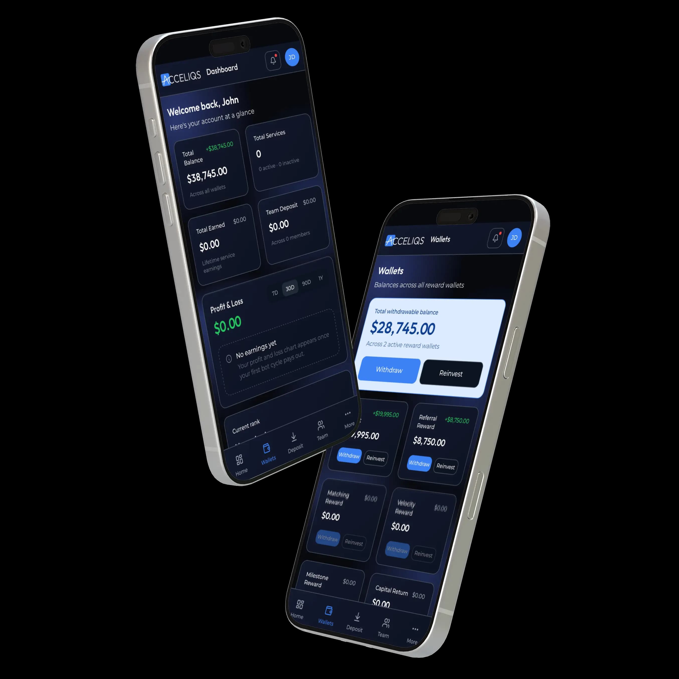 Acceliqs wallet showing shares and dividends